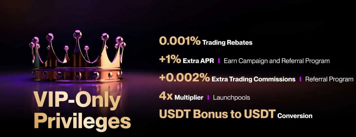 Flipster Rayakan Setahun VIP dengan Kompetisi Trading Menggiurkan